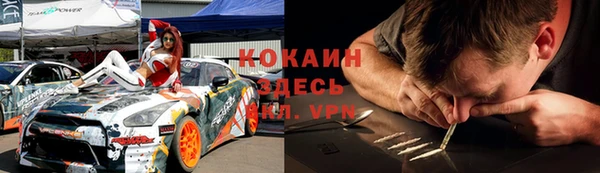 тгк Алексин