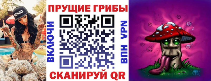 купить наркотик  Челябинск  Псилоцибиновые грибы Cubensis 